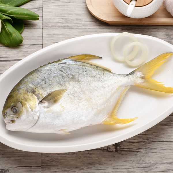 鲜冻金鸡胸550g/条*2营养肉炒西兰花鲳鱼图片